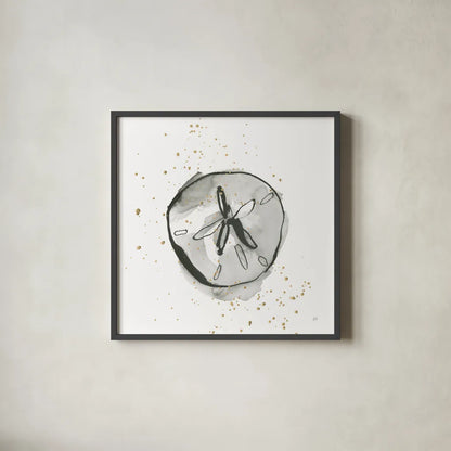 Sand Dollar II by Chris Paschke. Shown in a sleek black glass frame for a contemporary gallery look. Available as an archival giclee rolled canvas, fine art paper, or poster print. SKU 66535a.