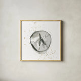 Sand Dollar II by Chris Paschke. Shown in a natural wood glass frame for a timeless modern aesthetic. Available as an archival giclee rolled canvas, fine art paper, or poster print. SKU 66535a.