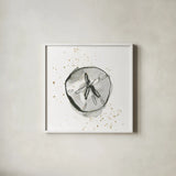 Sand Dollar II by Chris Paschke. Shown in a crisp white glass frame for a clean and minimalist style. Available as an archival giclee rolled canvas, fine art paper, or poster print. SKU 66535a.