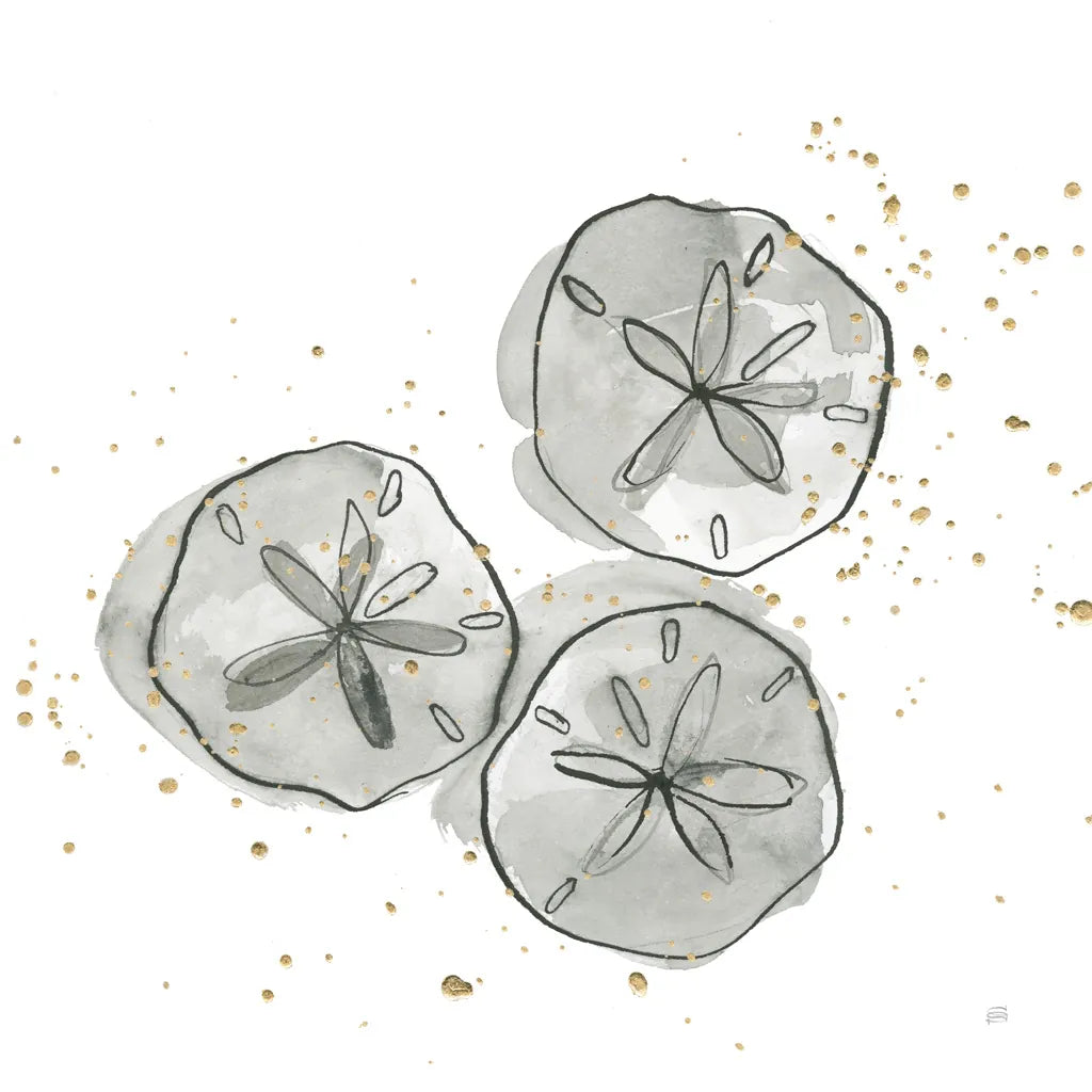 Sand Dollar III by Chris Paschke. SKU 66536a. Archival Giclee Fine art print for wall decor.