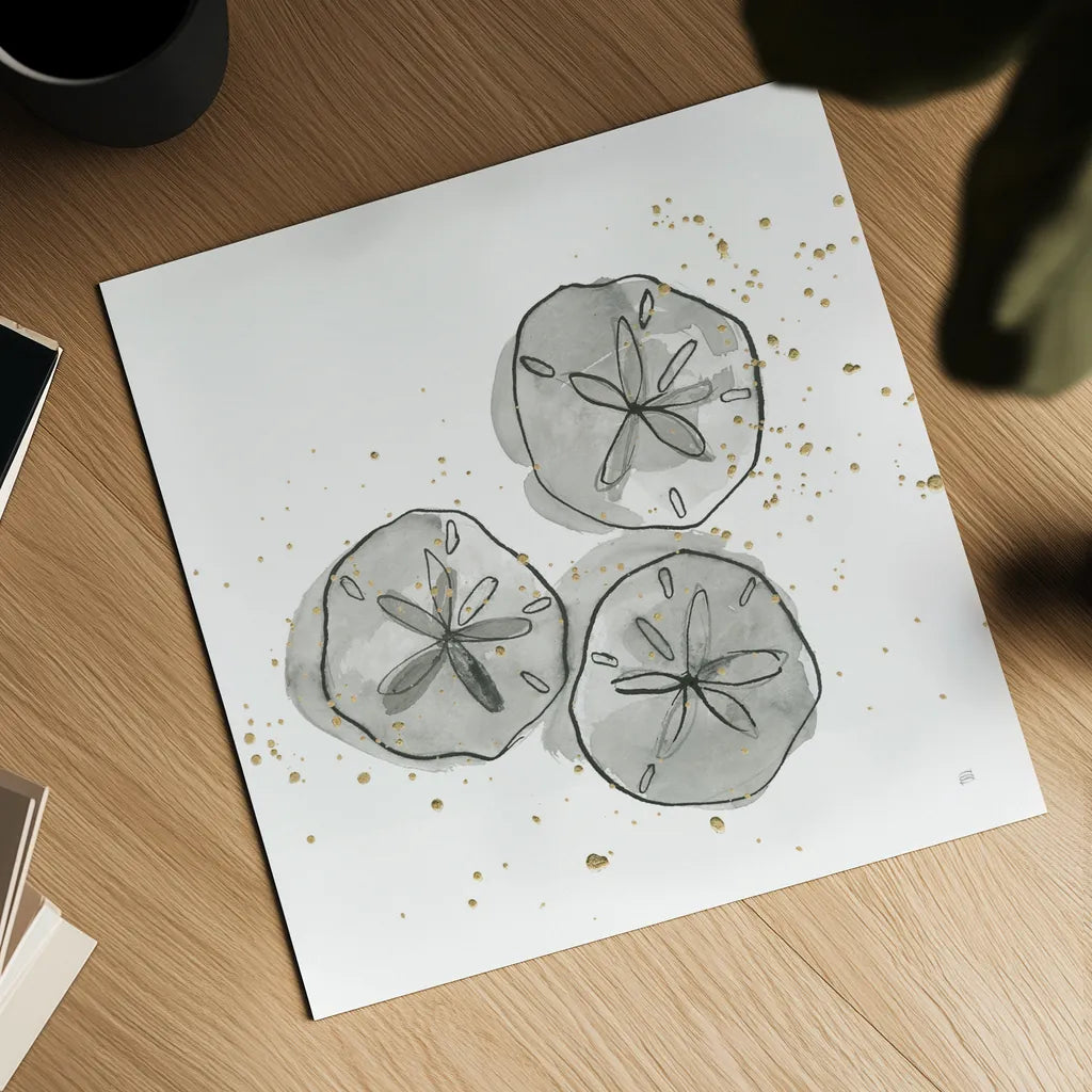 Sand Dollar III by Chris Paschke. Shown as a detailed flat fine art print, highlighting archival giclee quality. Available as an archival giclee rolled canvas, fine art paper, or poster print. SKU 66536a.