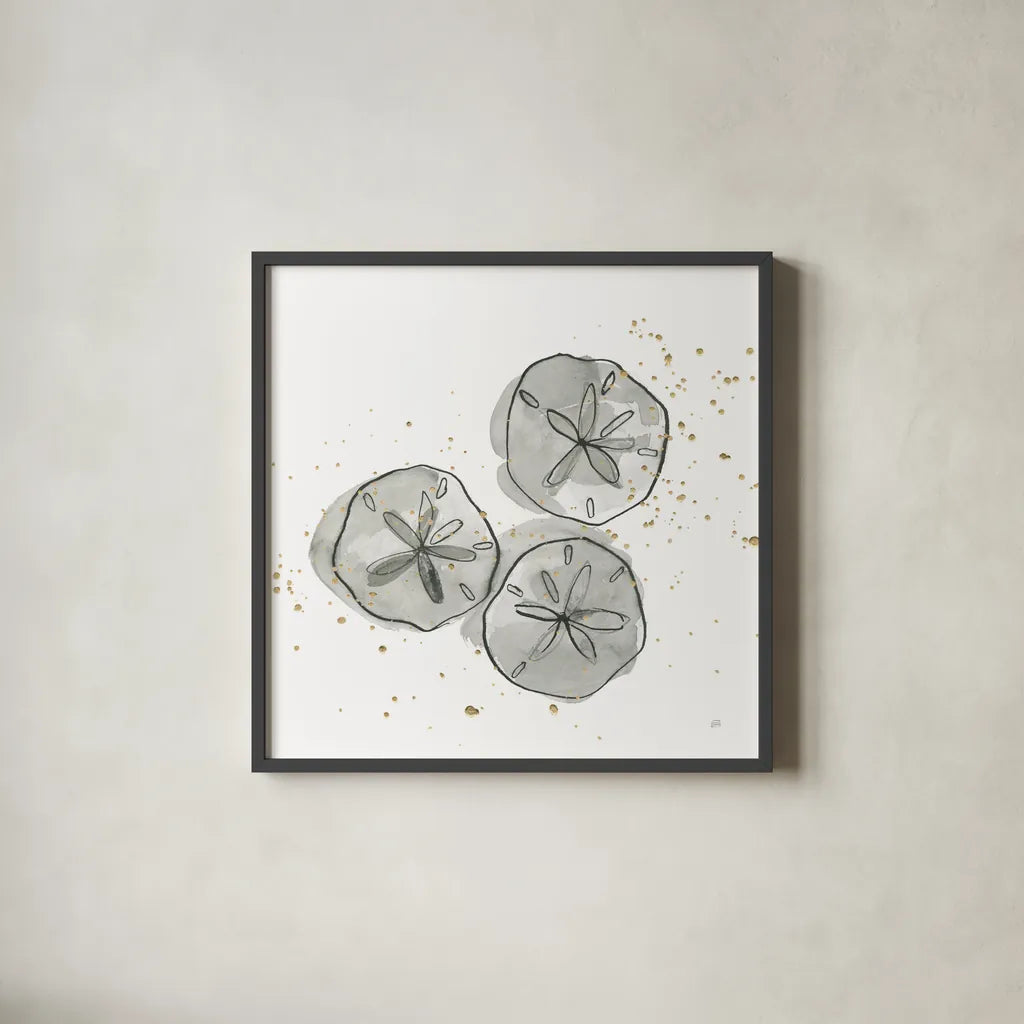 Sand Dollar III by Chris Paschke. Shown in a sleek black glass frame for a contemporary gallery look. Available as an archival giclee rolled canvas, fine art paper, or poster print. SKU 66536a.