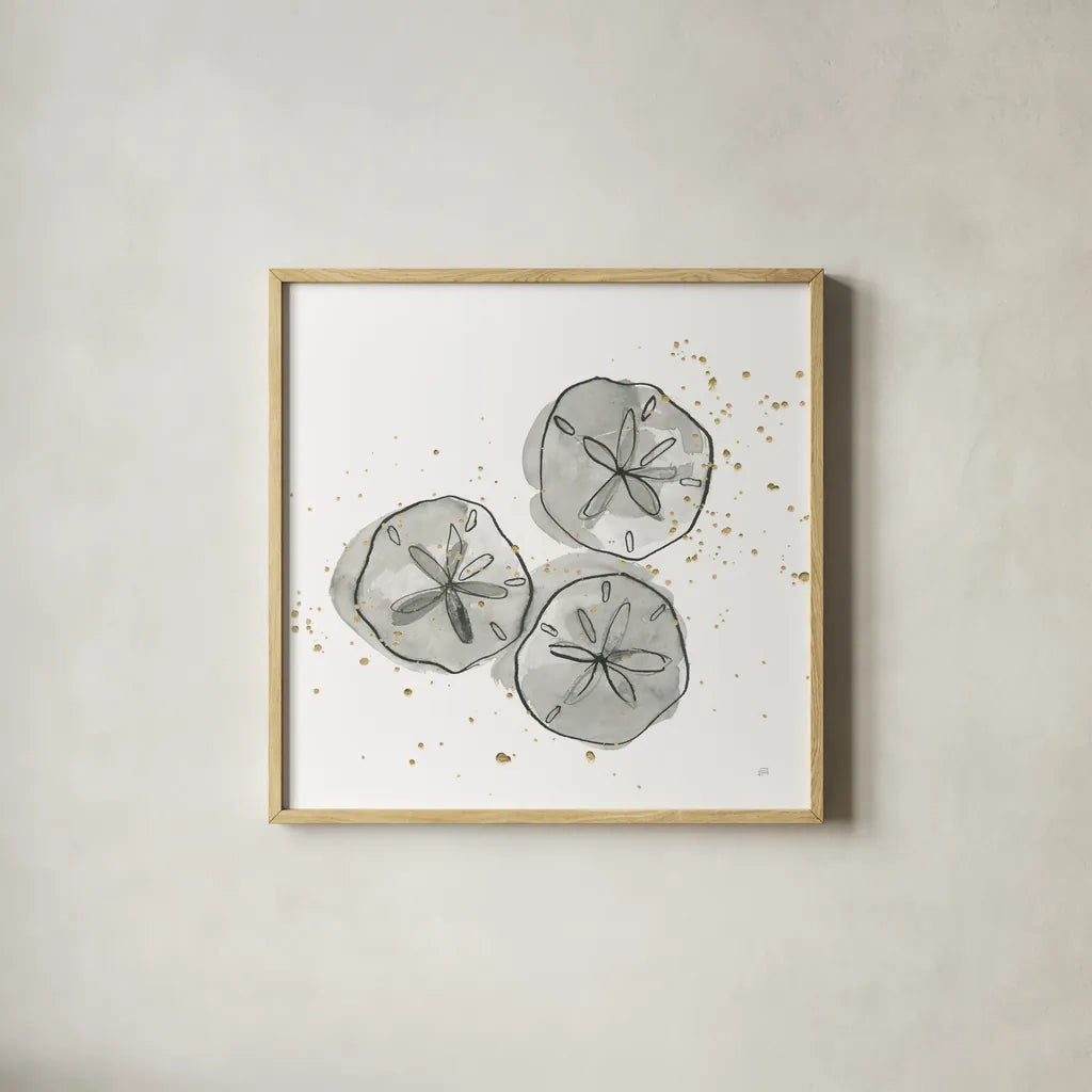 Sand Dollar III by Chris Paschke. Shown in a natural wood glass frame for a timeless modern aesthetic. Available as an archival giclee rolled canvas, fine art paper, or poster print. SKU 66536a.