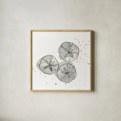 Sand Dollar III by Chris Paschke. Shown in a natural wood glass frame for a timeless modern aesthetic. Available as an archival giclee rolled canvas, fine art paper, or poster print. SKU 66536a.