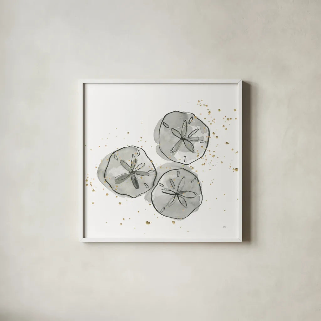 Sand Dollar III by Chris Paschke. Shown in a crisp white glass frame for a clean and minimalist style. Available as an archival giclee rolled canvas, fine art paper, or poster print. SKU 66536a.