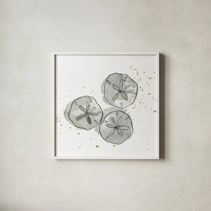 Sand Dollar III by Chris Paschke. Shown in a crisp white glass frame for a clean and minimalist style. Available as an archival giclee rolled canvas, fine art paper, or poster print. SKU 66536a.