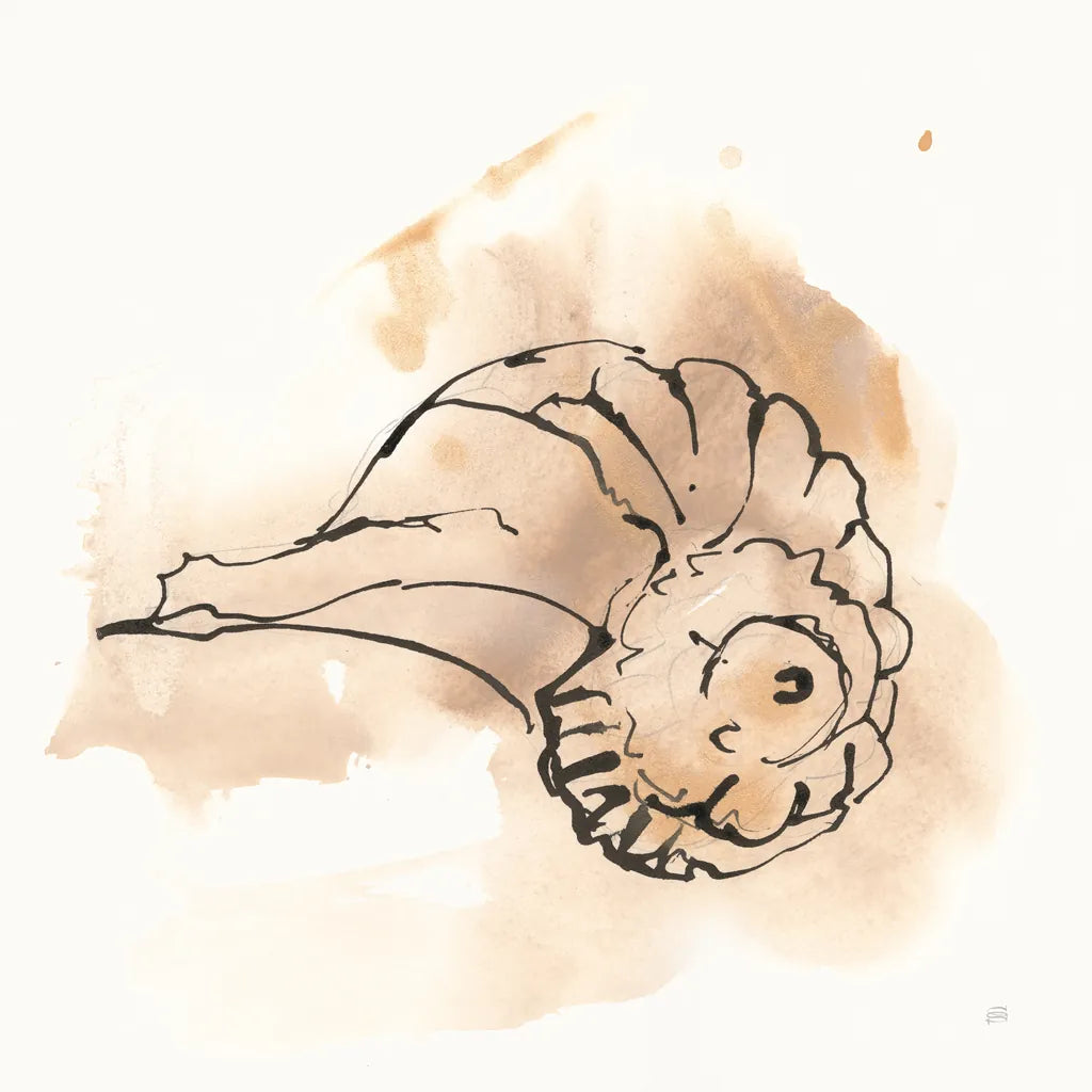 Sandy Conch II by Chris Paschke. SKU 89510a. Archival Giclee Fine art print for wall decor.