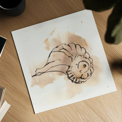 Sandy Conch II by Chris Paschke. Shown as a detailed flat fine art print, highlighting archival giclee quality. Available as an archival giclee rolled canvas, fine art paper, or poster print. SKU 89510a.