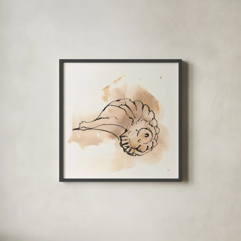 Sandy Conch II by Chris Paschke. Shown in a sleek black glass frame for a contemporary gallery look. Available as an archival giclee rolled canvas, fine art paper, or poster print. SKU 89510a.