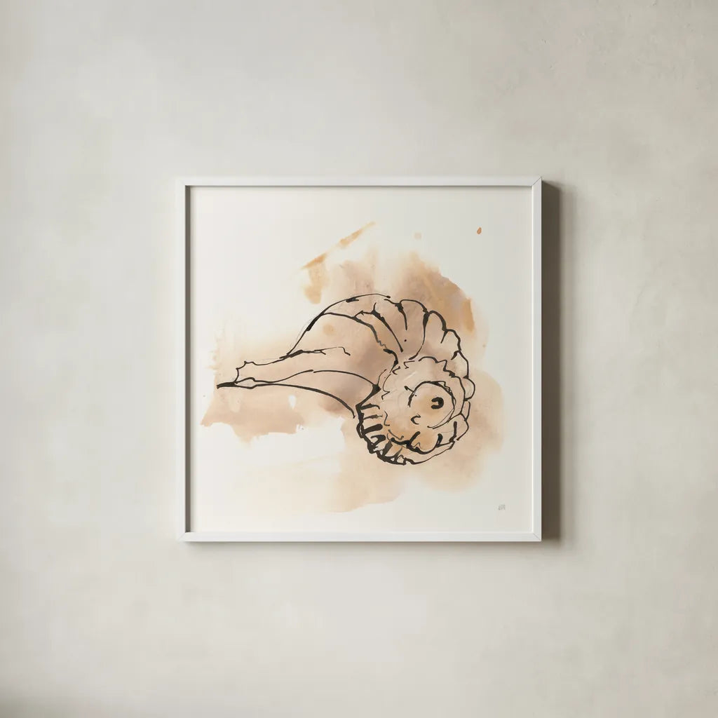 Sandy Conch II by Chris Paschke. Shown in a crisp white glass frame for a clean and minimalist style. Available as an archival giclee rolled canvas, fine art paper, or poster print. SKU 89510a.