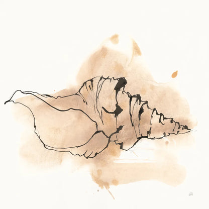 Sandy Conch III by Chris Paschke. SKU 89511a. Archival Giclee Fine art print for wall decor.