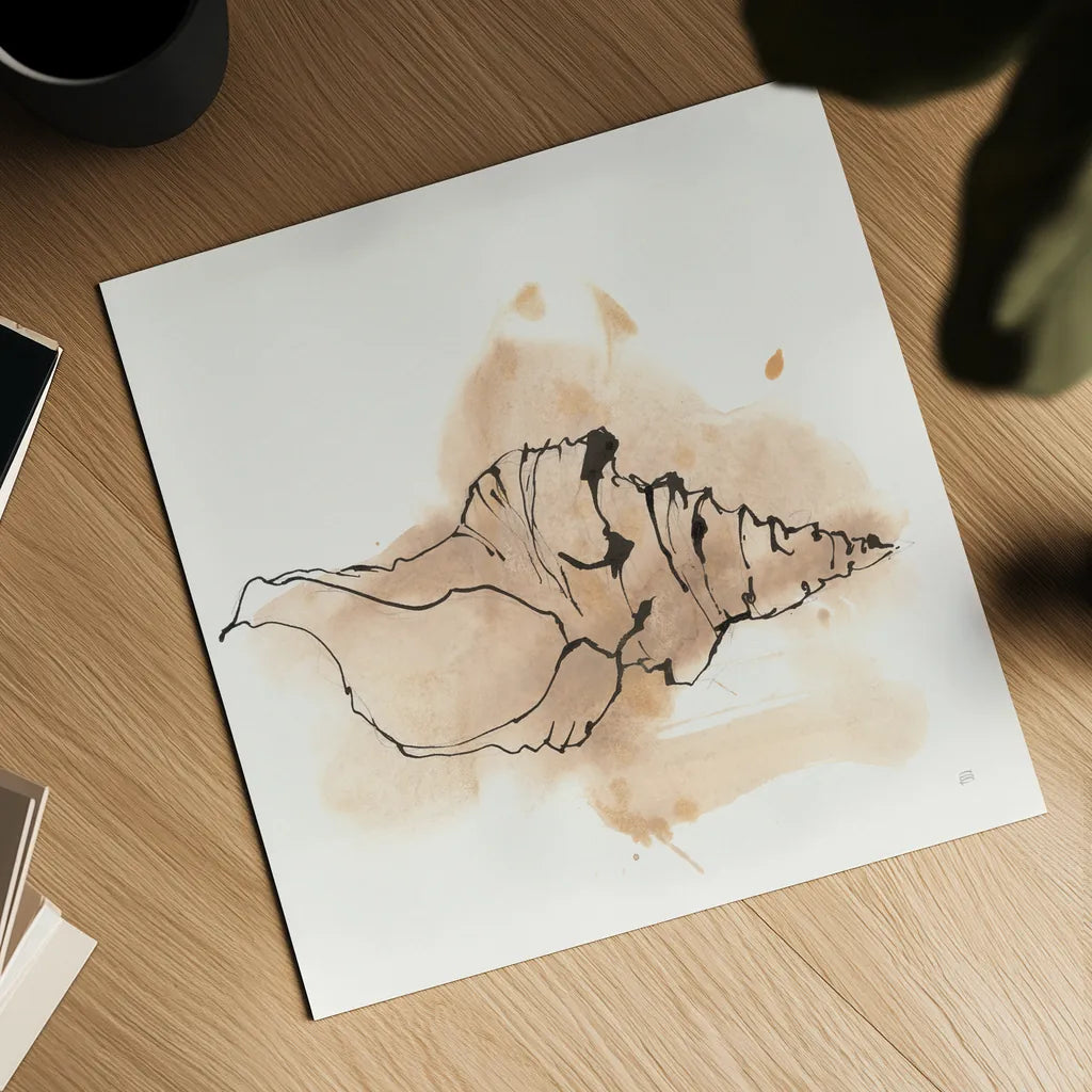 Sandy Conch III by Chris Paschke. Shown as a detailed flat fine art print, highlighting archival giclee quality. Available as an archival giclee rolled canvas, fine art paper, or poster print. SKU 89511a.