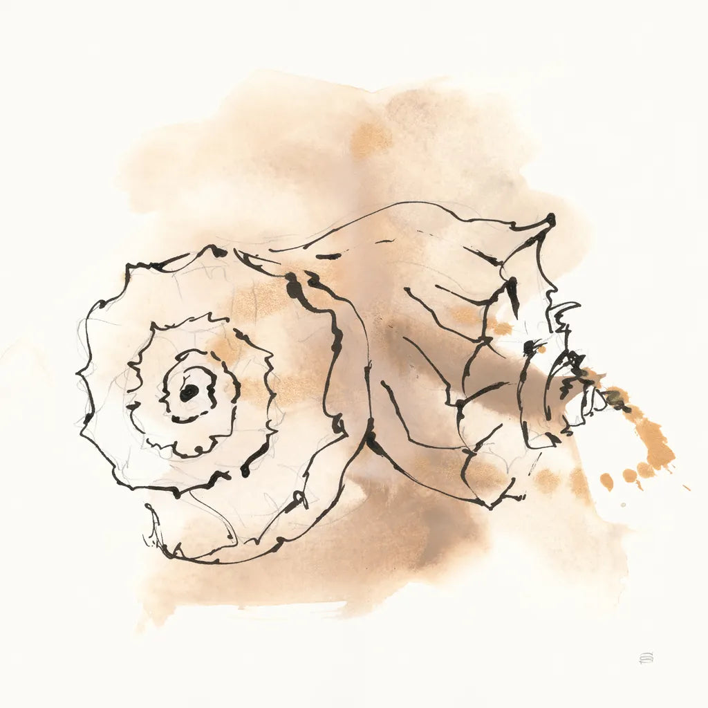 Sandy Conch V by Chris Paschke. SKU 89513a. Archival Giclee Fine art print for wall decor.