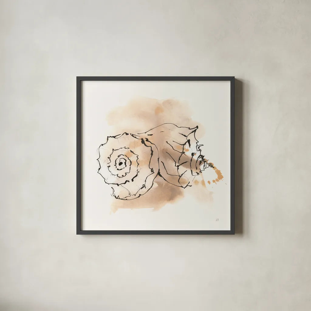 Sandy Conch V by Chris Paschke. Shown in a sleek black glass frame for a contemporary gallery look. Available as an archival giclee rolled canvas, fine art paper, or poster print. SKU 89513a.