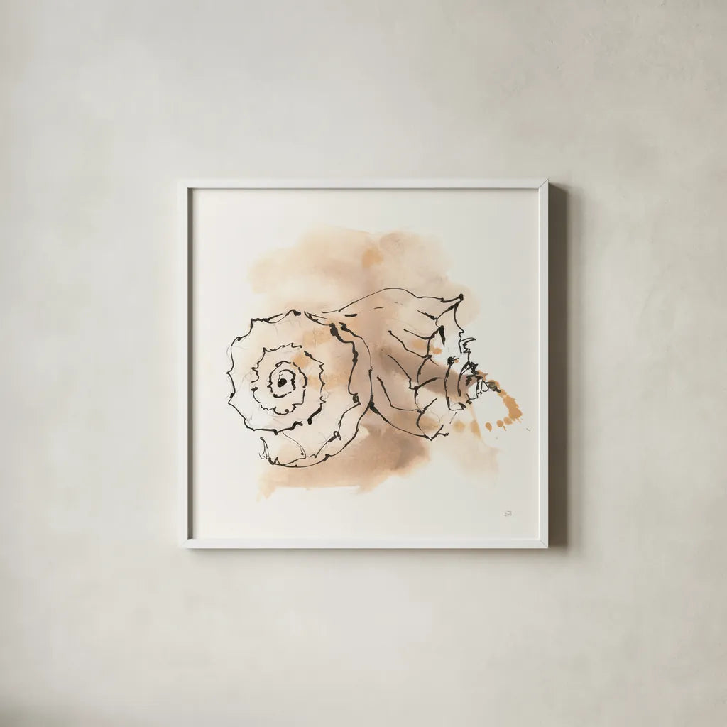 Sandy Conch V by Chris Paschke. Shown in a crisp white glass frame for a clean and minimalist style. Available as an archival giclee rolled canvas, fine art paper, or poster print. SKU 89513a.