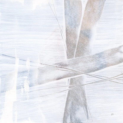 Scraped Sand I by Chris Paschke. SKU 99905a. Archival Giclee Fine art print for wall decor.