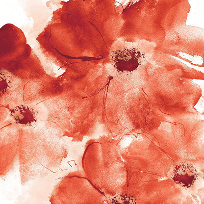 Seashell Cosmos I Red and Orange by Chris Paschke. SKU 31299a. Archival Giclee Fine art print for wall decor.