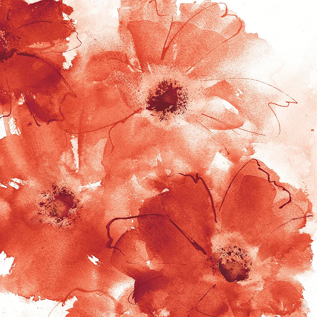 Seashell Cosmos II Red and Orange by Chris Paschke. SKU 31300a. Archival Giclee Fine art print for wall decor.