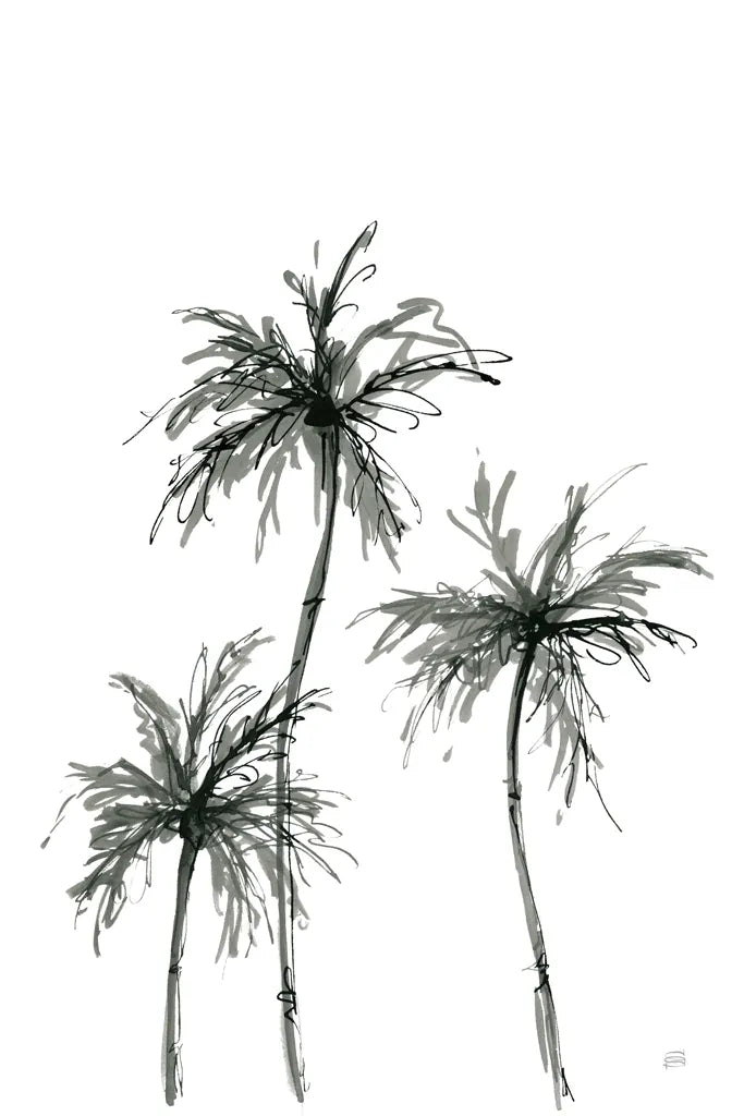 Shadow Palms I by Chris Paschke. SKU 78870h. Archival Giclee Fine art print for wall decor.