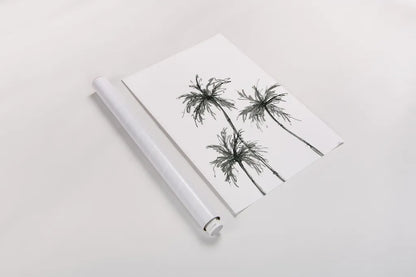 Shadow Palms I by Chris Paschke. shown as a rolled paper print. Available as archival giclee rolled canvas, fine art paper, or poster print. SKU 78870h.