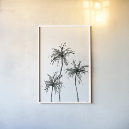 Shadow Palms I by Chris Paschke. shown as a paper print in a white frame. Available as a archival giclee rolled canvas, fine art paper, or poster print. SKU 78870h.