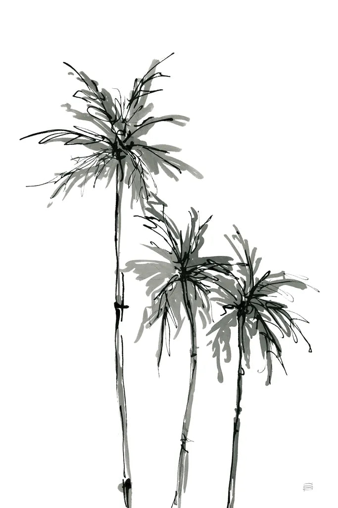 Shadow Palms II by Chris Paschke. SKU 78871h. Archival Giclee Fine art print for wall decor.