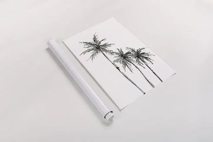 Shadow Palms II by Chris Paschke. shown as a rolled paper print. Available as archival giclee rolled canvas, fine art paper, or poster print. SKU 78871h.