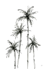 Shadow Palms III by Chris Paschke. SKU 78872h. Archival Giclee Fine art print for wall decor.