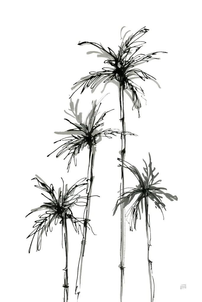 Shadow Palms III by Chris Paschke. SKU 78872h. Archival Giclee Fine art print for wall decor.