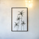 Shadow Palms III by Chris Paschke. shown as a paper print in a black flame. Available as a archival giclee rolled canvas, fine art paper, or poster print. SKU 78872h.