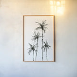 Shadow Palms III by Chris Paschke. shown as a paper print in a natural frame. Available as a archival giclee rolled canvas, fine art paper, or poster print. SKU 78872h.