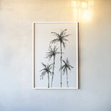 Shadow Palms III by Chris Paschke. shown as a paper print in a white frame. Available as a archival giclee rolled canvas, fine art paper, or poster print. SKU 78872h.
