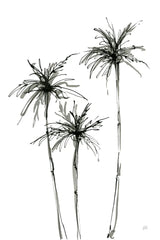 Shadow Palms IV by Chris Paschke. SKU 78873h. Archival Giclee Fine art print for wall decor.