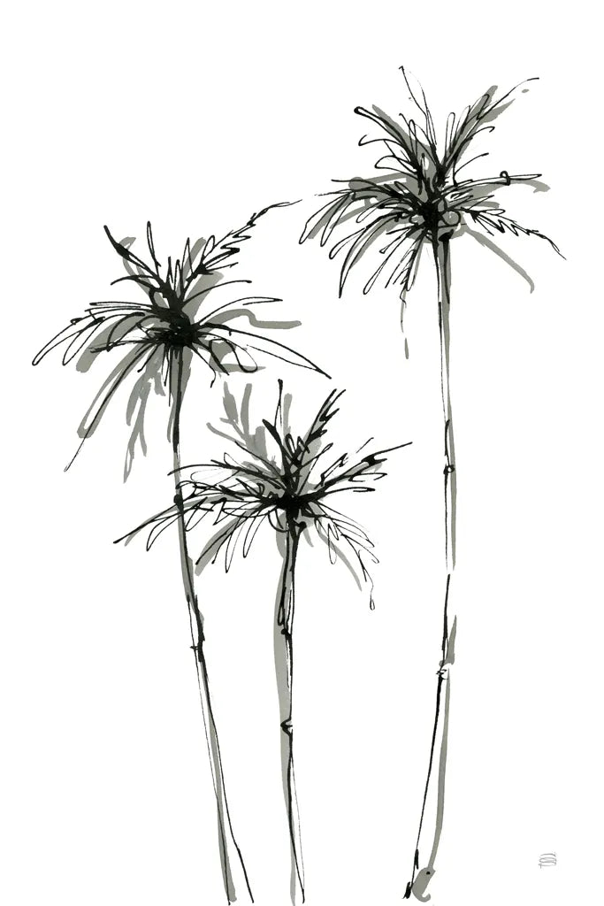 Shadow Palms IV by Chris Paschke. SKU 78873h. Archival Giclee Fine art print for wall decor.