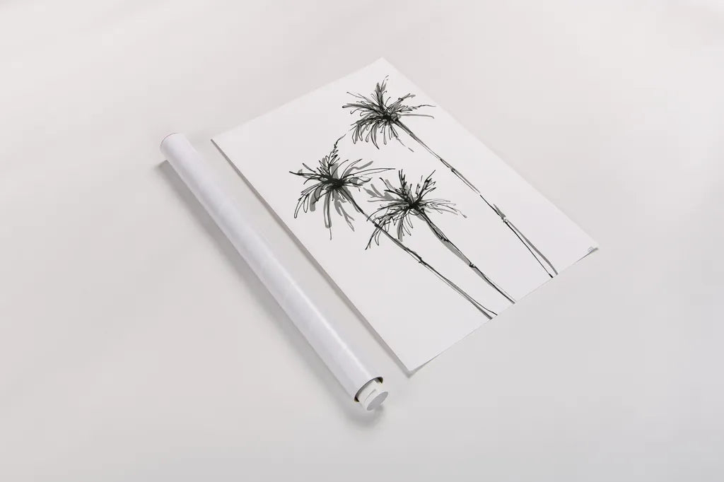 Shadow Palms IV by Chris Paschke. shown as a rolled paper print. Available as archival giclee rolled canvas, fine art paper, or poster print. SKU 78873h.