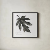 Silver Leaf Papay by Chris Paschke. Shown in a sleek black glass frame for a contemporary gallery look. Available as an archival giclee rolled canvas, fine art paper, or poster print. SKU 36632a.