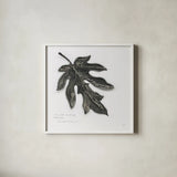 Silver Leaf Papay by Chris Paschke. Shown in a crisp white glass frame for a clean and minimalist style. Available as an archival giclee rolled canvas, fine art paper, or poster print. SKU 36632a.