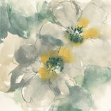 Silver Quince I by Chris Paschke. SKU 24355a. Archival Giclee Fine art print for wall decor.