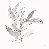 Simple Grey I by Chris Paschke. SKU 92781a. Archival Giclee Fine art print for wall decor.