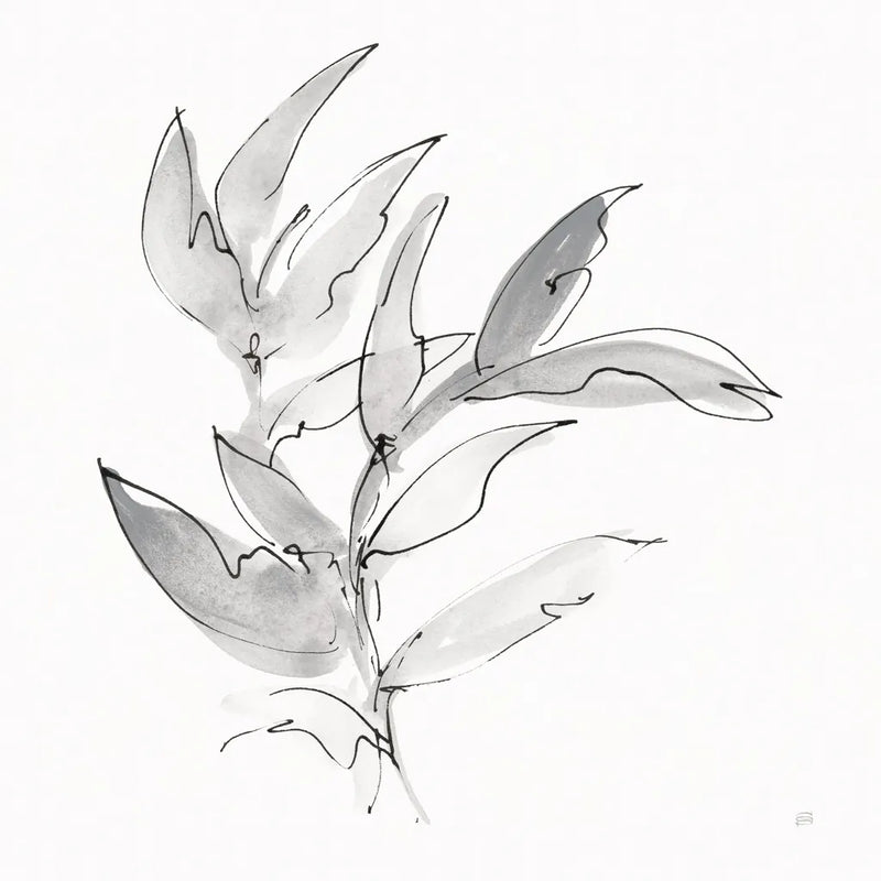 Simple Grey I by Chris Paschke. SKU 92781a. Archival Giclee Fine art print for wall decor.