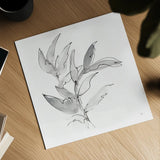 Simple Grey I by Chris Paschke. Shown as a detailed flat fine art print, highlighting archival giclee quality. Available as an archival giclee rolled canvas, fine art paper, or poster print. SKU 92781a.