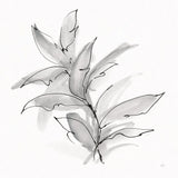 Simple Grey II by Chris Paschke. SKU 92782a. Archival Giclee Fine art print for wall decor.