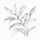 Simple Grey III by Chris Paschke. SKU 92783a. Archival Giclee Fine art print for wall decor.