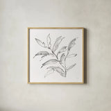 Simple Grey III by Chris Paschke. Shown in a natural wood glass frame for a timeless modern aesthetic. Available as an archival giclee rolled canvas, fine art paper, or poster print. SKU 92783a.