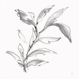 Simple Grey IV by Chris Paschke. SKU 92784a. Archival Giclee Fine art print for wall decor.