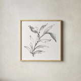 Simple Grey IV by Chris Paschke. Shown in a natural wood glass frame for a timeless modern aesthetic. Available as an archival giclee rolled canvas, fine art paper, or poster print. SKU 92784a.