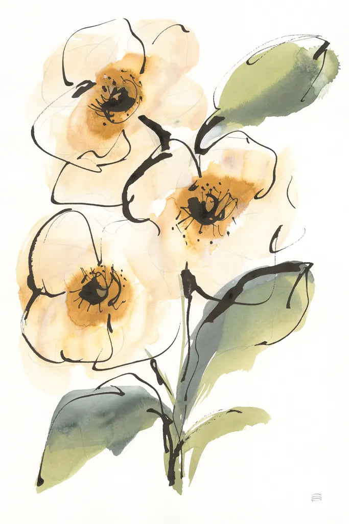 Smooth Poppy II by Chris Paschke. SKU 90856h. Archival Giclee Fine art print for wall decor.
