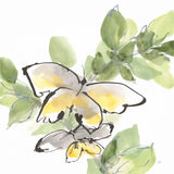 Social Butterflies III by Chris Paschke. SKU 100296a. Archival Giclee Fine art print for wall decor.