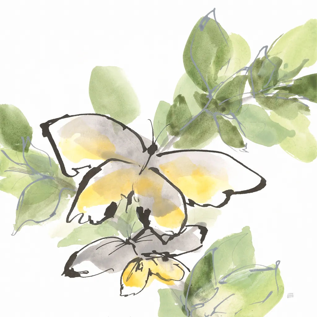 Social Butterflies III by Chris Paschke. SKU 100296a. Archival Giclee Fine art print for wall decor.