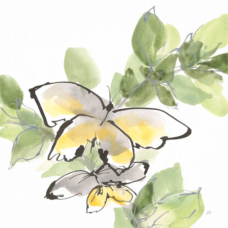 Social Butterflies III by Chris Paschke. SKU 100296a. Archival Giclee Fine art print for wall decor.